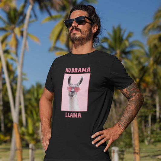 No Drama, Llama