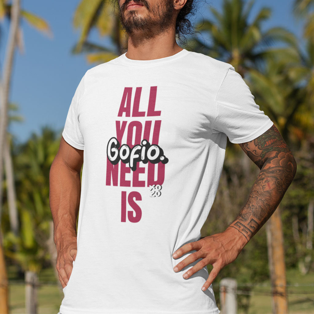 All You Need Is Gofio