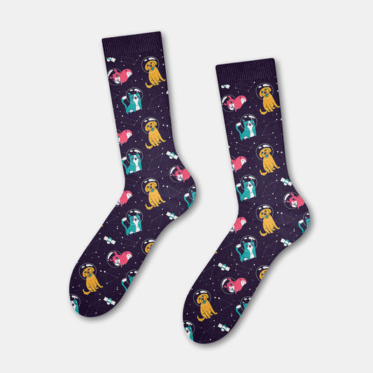 Pets in Space