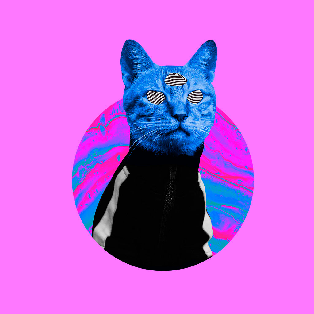 gato azul psicodelico con 3 ojos y colores diseño