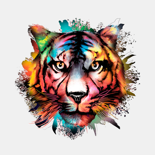 The Small Colorful Tiger