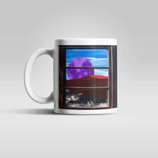 The Window